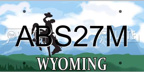 ABS27M Wyoming License Plate