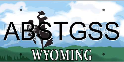ABSTGSS Wyoming License Plate