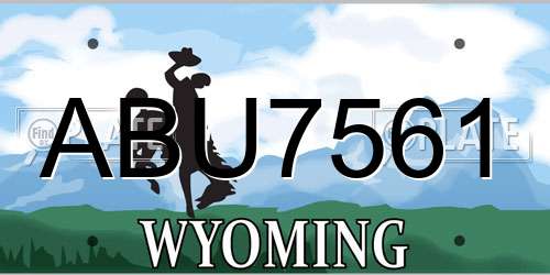 ABU7561 Wyoming License Plate