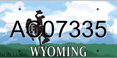 AC07335 Wyoming License Plate