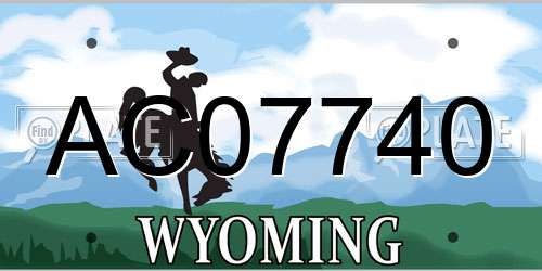 AC07740 Wyoming License Plate