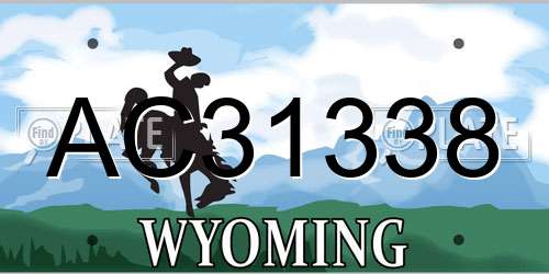 AC31338 Wyoming License Plate