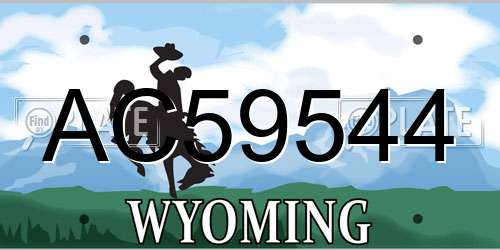 AC59544 Wyoming License Plate