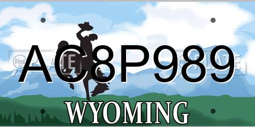 AC8P989 Wyoming License Plate