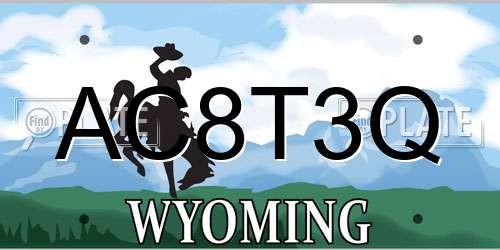 AC8T3Q Wyoming License Plate