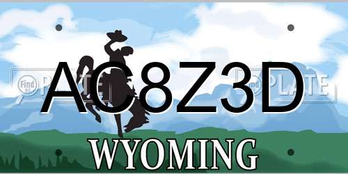 AC8Z3D Wyoming License Plate