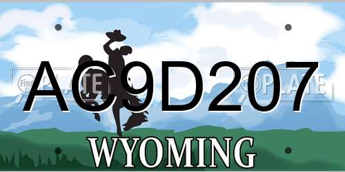 AC9D207 Wyoming License Plate