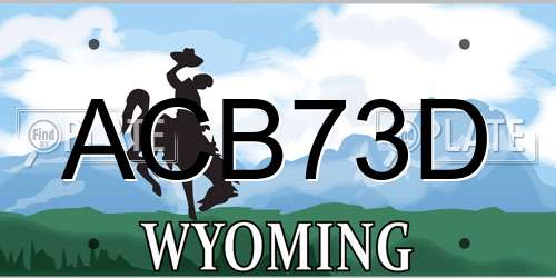 ACB73D Wyoming License Plate