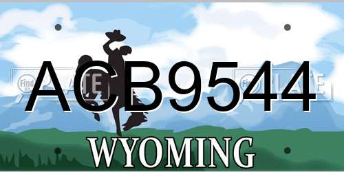 ACB9544 Wyoming License Plate