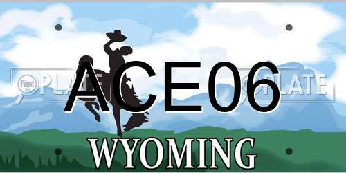 ACE06 Wyoming License Plate