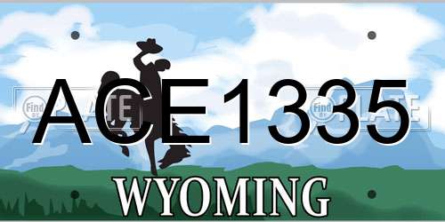 ACE1335 Wyoming License Plate