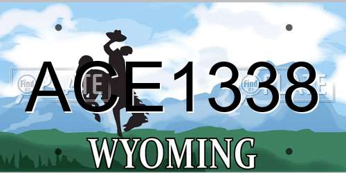 ACE1338 Wyoming License Plate