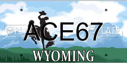 ACE67 Wyoming License Plate