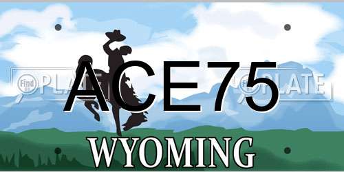 ACE75 Wyoming License Plate