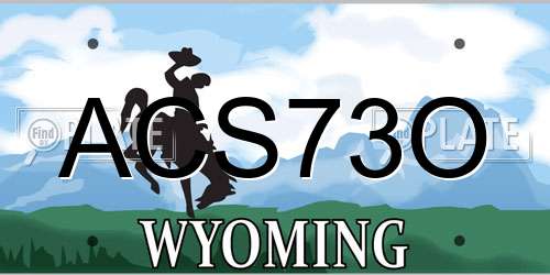 ACS73O Wyoming License Plate