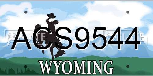 ACS9544 Wyoming License Plate