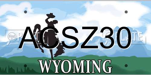 ACSZ30 Wyoming License Plate
