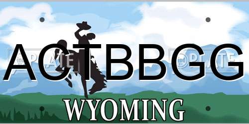 ACTBBGG Wyoming License Plate