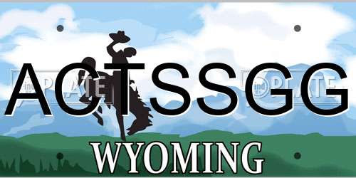 ACTSSGG Wyoming License Plate