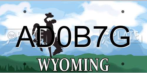 AD0B7G Wyoming License Plate