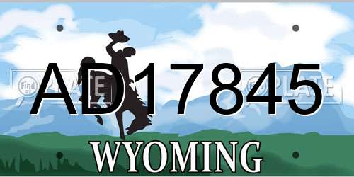 AD17845 Wyoming License Plate