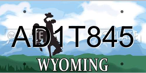 AD1T845 Wyoming License Plate