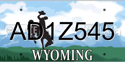 AD1Z545 Wyoming License Plate