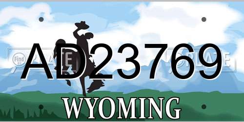AD23769 Wyoming License Plate