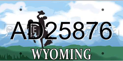 AD25876 Wyoming License Plate