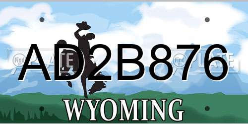 AD2B876 Wyoming License Plate