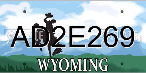 AD2E269 Wyoming License Plate