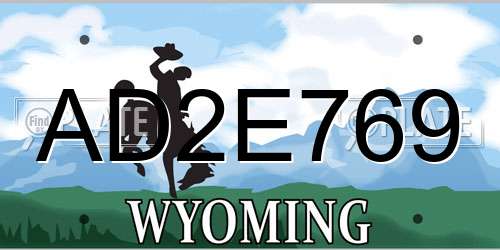 AD2E769 Wyoming License Plate