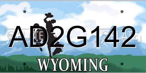 AD2G142 Wyoming License Plate