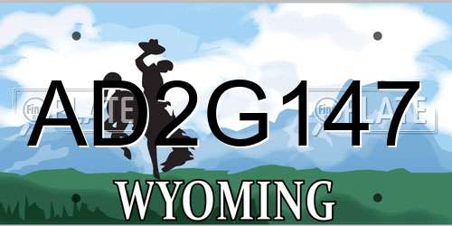 AD2G147 Wyoming License Plate