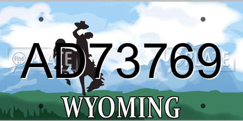 AD73769 Wyoming License Plate