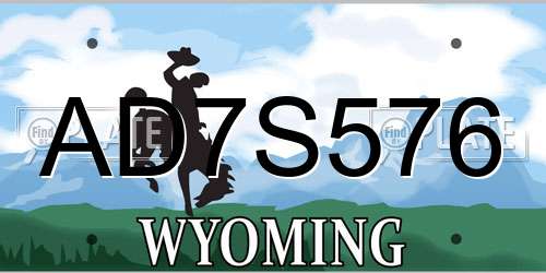 AD7S576 Wyoming License Plate