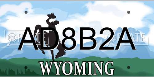 AD8B2A Wyoming License Plate