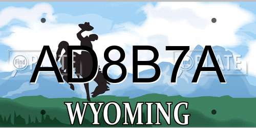 AD8B7A Wyoming License Plate
