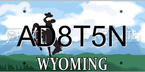 AD8T5N Wyoming License Plate
