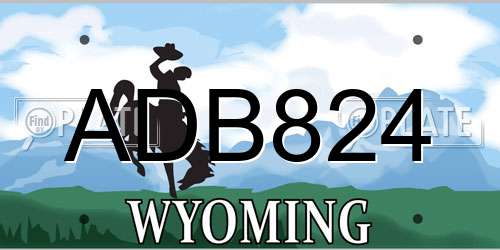 ADB824 Wyoming License Plate