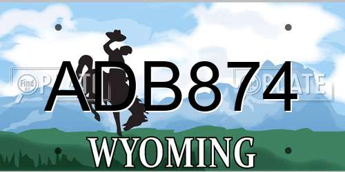 ADB874 Wyoming License Plate