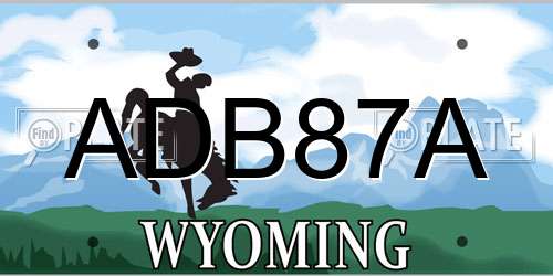 ADB87A Wyoming License Plate