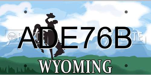ADE76B Wyoming License Plate