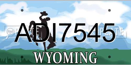 ADI7545 Wyoming License Plate