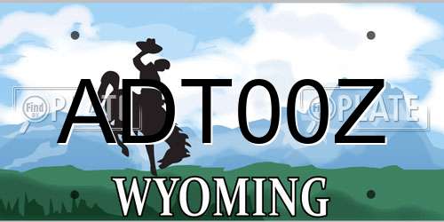 ADT00Z Wyoming License Plate