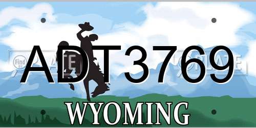 ADT3769 Wyoming License Plate