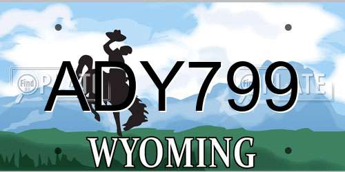ADY799 Wyoming License Plate