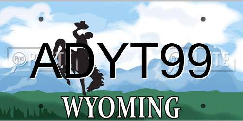 ADYT99 Wyoming License Plate