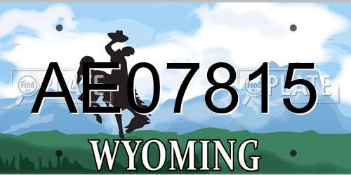 AE07815 Wyoming License Plate