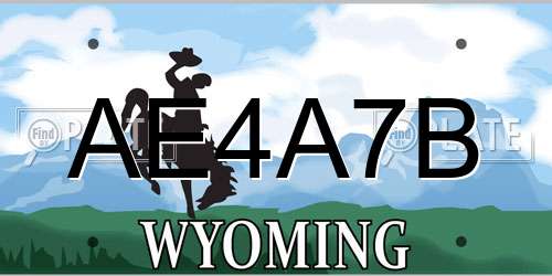 AE4A7B Wyoming License Plate